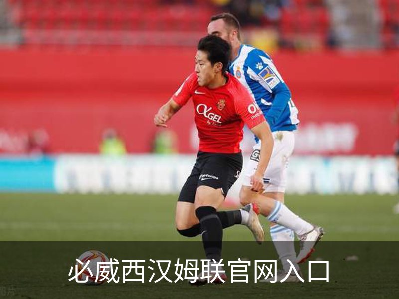 必威西汉姆联官网入口简介